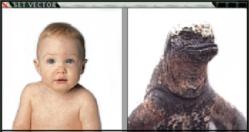 [�������� �����]